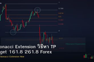 Fibonacci Extension วิธีหา TP Target 161.8 261.8 Forex