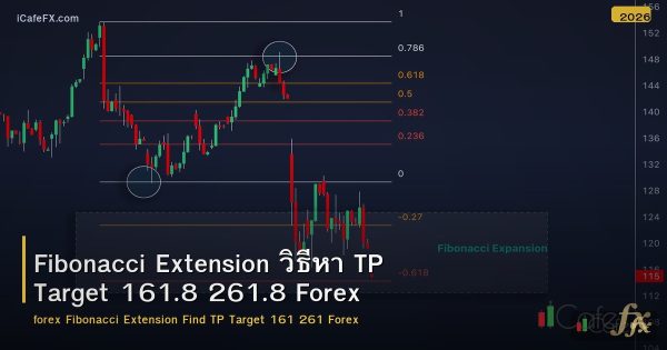 Fibonacci Extension วิธีหา TP Target 161.8 261.8 Forex