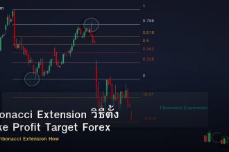 Fibonacci Extension วิธีตั้ง Take Profit Target Forex