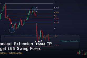Fibonacci Extension วิธีตั้ง TP Target เลย Swing Forex