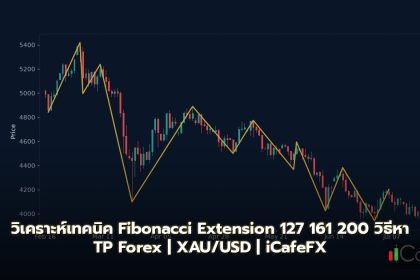 Fibonacci Extension วิธีใช้ 127 161 200 TP Target Level Forex