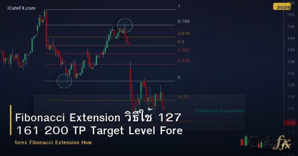 Fibonacci Extension วิธีใช้ 127 161 200 TP Target Level Forex