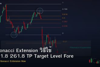 Fibonacci Extension วิธีใช้ 161.8 261.8 TP Target Level Forex
