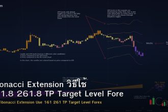 Fibonacci Extension วิธีใช้ 161.8 261.8 TP Target Level Forex