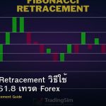 Fibonacci Retracement วิธีใช้ 38.2 50 61.8 เทรด Forex