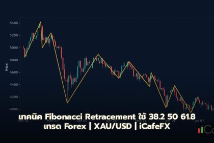 เทคนิค Fibonacci Retracement ใช้ 38.2 50 61.8 เทรด Forex