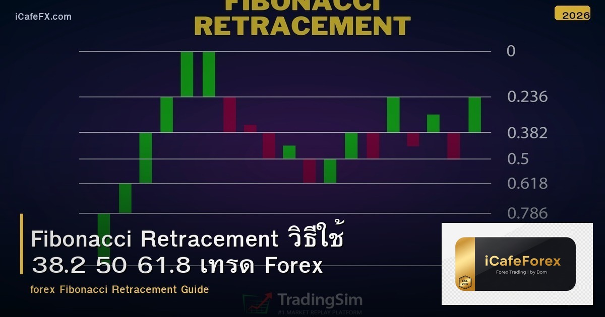 Fibonacci Retracement วิธีใช้ 38.2 50 61.8 เทรด Forex