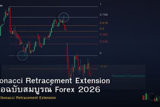 Fibonacci Retracement Extension คู่มือฉบับสมบูรณ์ Forex 2026