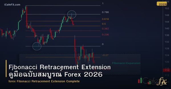 Fibonacci Retracement Extension คู่มือฉบับสมบูรณ์ Forex 2026