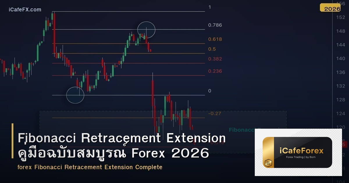 Fibonacci Retracement Extension คู่มือฉบับสมบูรณ์ Forex 2026