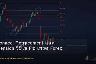 Fibonacci Retracement และ Extension วิธีใช้ Fib เทรด Forex ฉบับสมบูรณ์
