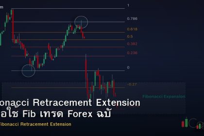 Fibonacci Retracement Extension คู่มือใช้ Fib เทรด Forex ฉบับสมบูรณ์