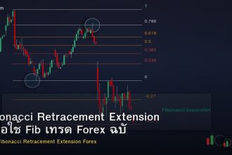 Fibonacci Retracement Extension คู่มือใช้ Fib เทรด Forex ฉบับสมบูรณ์