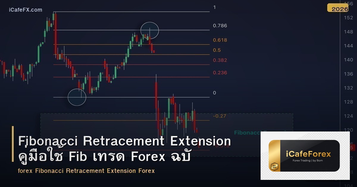 Fibonacci Retracement Extension คู่มือใช้ Fib เทรด Forex ฉบับสมบูรณ์