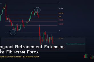 Fibonacci Retracement Extension วิธีใช้ Fib เทรด Forex