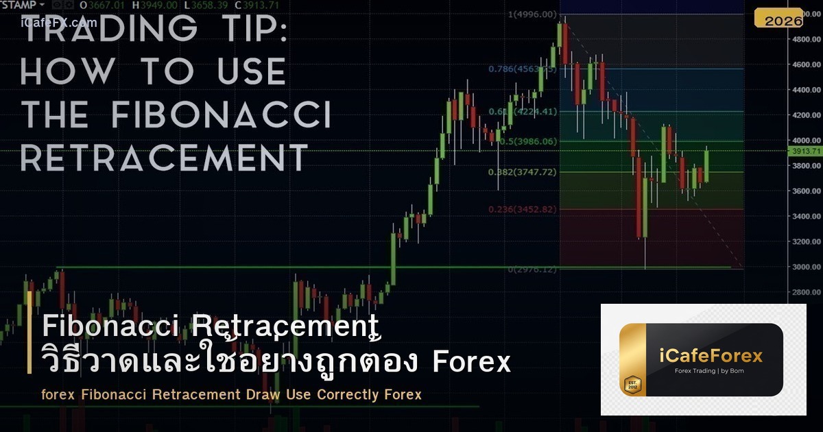 Fibonacci Retracement วิธีวาดและใช้อย่างถูกต้อง Forex
