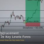 Fibonacci Retracement วิธีวาดและใช้ Key Levels Forex