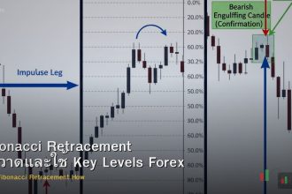 Fibonacci Retracement วิธีวาดและใช้ Key Levels Forex