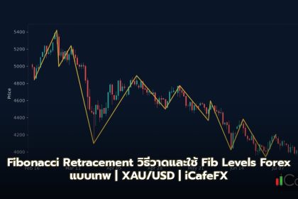 Fibonacci Retracement วิธีวาดและใช้ Fib Levels Forex