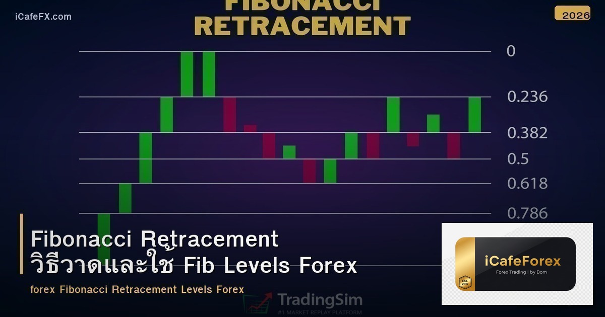 Fibonacci Retracement วิธีวาดและใช้ Fib Levels Forex