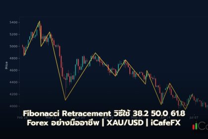 Fibonacci Retracement วิธีใช้ 38.2 50.0 61.8 Forex