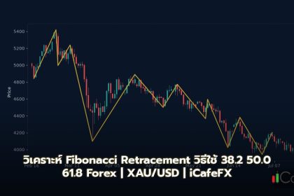 วิเคราะห์ Fibonacci Retracement วิธีใช้ 38.2 50.0 61.8 Forex