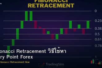Fibonacci Retracement วิธีใช้หา Entry Point Forex
