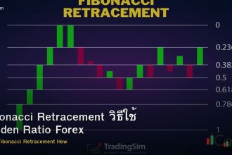 Fibonacci Retracement วิธีใช้ Golden Ratio Forex
