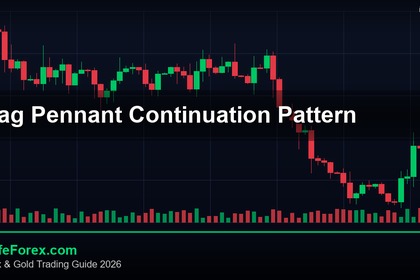 Flag Pennant Continuation คู่มือฉบับสมบูรณ์ Forex 2026