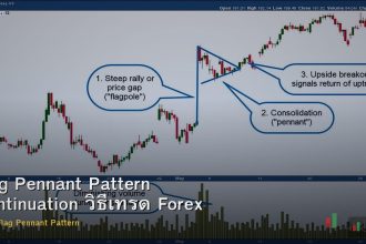 Flag Pennant Pattern Continuation วิธีเทรด Forex