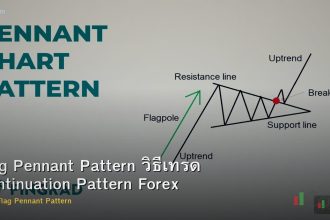 Flag Pennant Pattern วิธีเทรด Continuation Pattern Forex