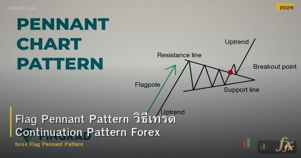 Flag Pennant Pattern Continuation วิธีเทรด Forex