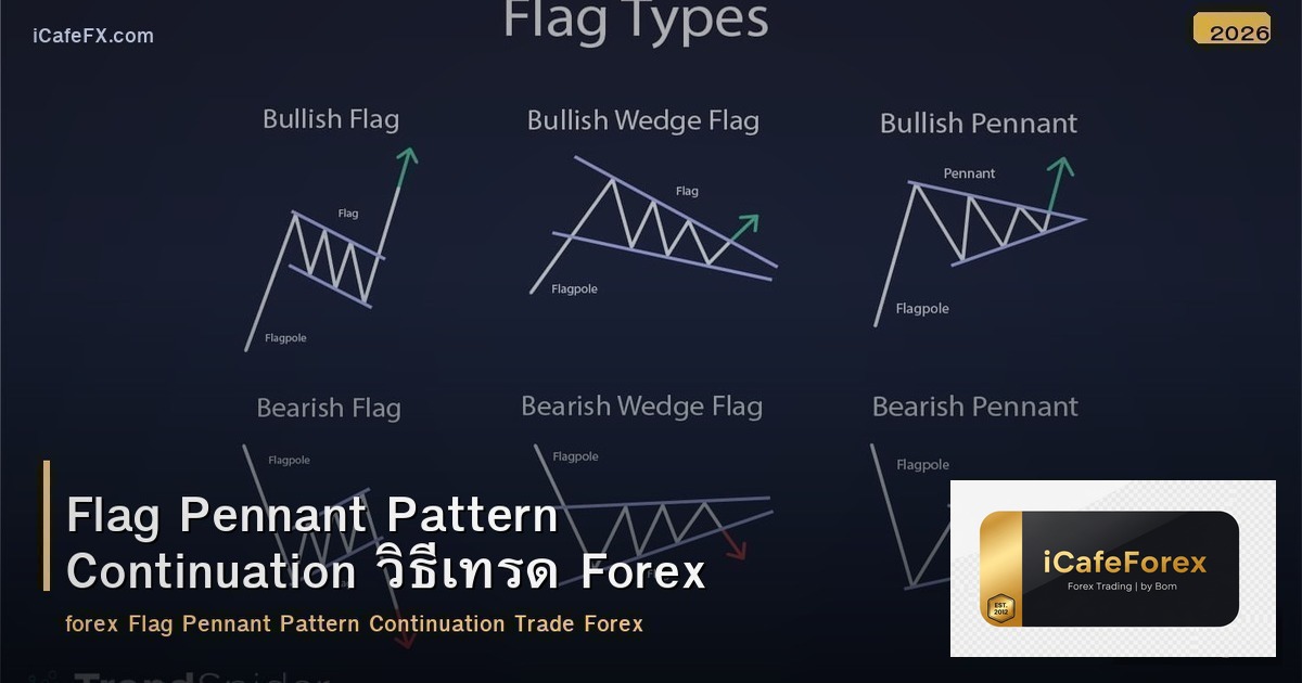 Flag Pennant Pattern วิธีเทรด Continuation Pattern Forex