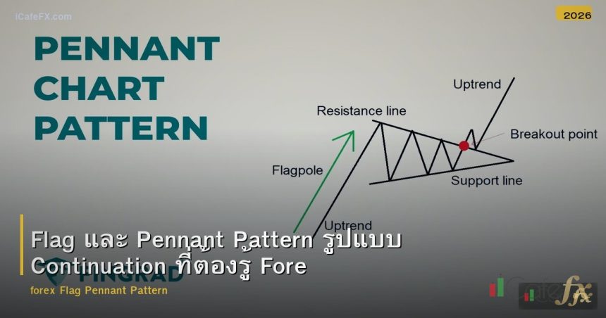 Flag และ Pennant Pattern รูปแบบ Continuation ที่ต้องรู้ Forex