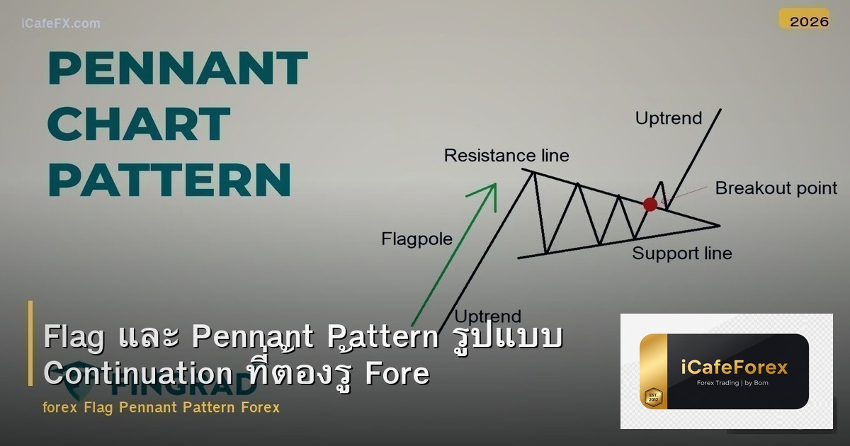 Flag และ Pennant Pattern รูปแบบ Continuation ที่ต้องรู้ Forex