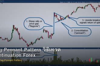 Flag Pennant Pattern วิธีเทรด Continuation Forex