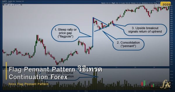Flag Pennant Pattern วิธีเทรด Continuation Forex