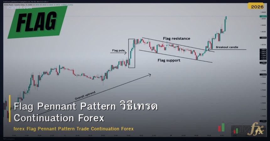 Flag Pennant Pattern วิธีเทรด Continuation Forex