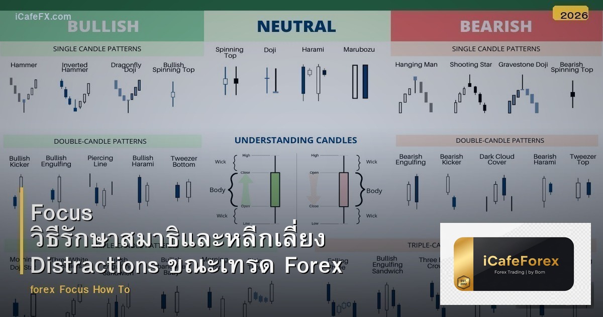 Focus วิธีรักษาสมาธิและหลีกเลี่ยง Distractions ขณะเทรด Forex