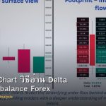 Footprint Chart วิธีอ่าน Delta Volume Imbalance Forex