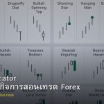 Forex Educator วิธีสร้างธุรกิจการสอนเทรด Forex
