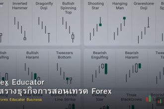 Forex Educator วิธีสร้างธุรกิจการสอนเทรด Forex