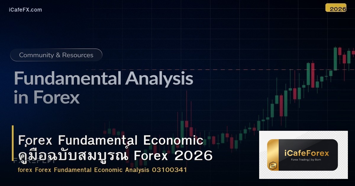Forex Fundamental Economic คู่มือฉบับสมบูรณ์ Forex 2026