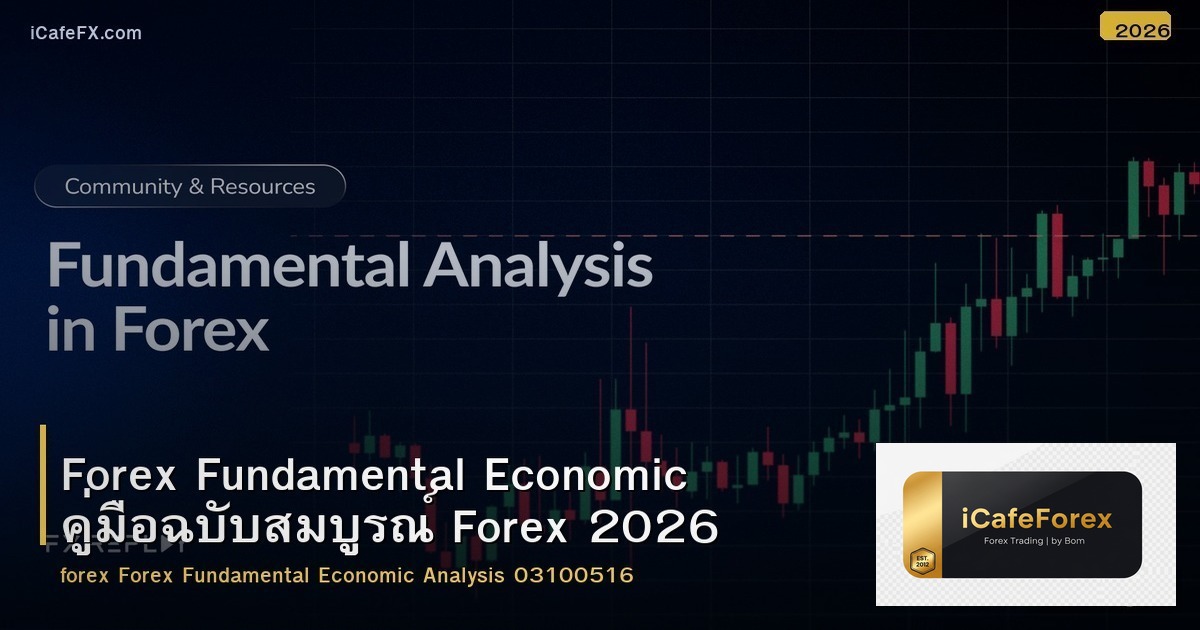 Forex Fundamental Economic คู่มือฉบับสมบูรณ์ Forex 2026