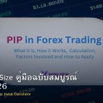 Forex Lot Size คู่มือฉบับสมบูรณ์ Forex 2026