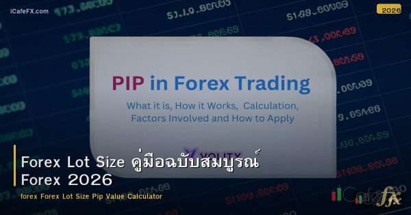 Forex Lot Size คู่มือฉบับสมบูรณ์ Forex 2026