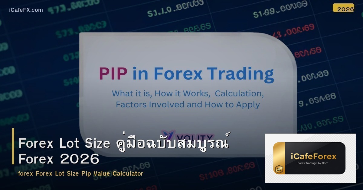 Forex Lot Size คู่มือฉบับสมบูรณ์ Forex 2026