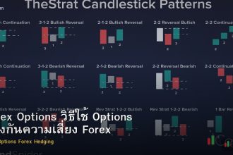 Forex Options วิธีใช้ Options ป้องกันความเสี่ยง Forex
