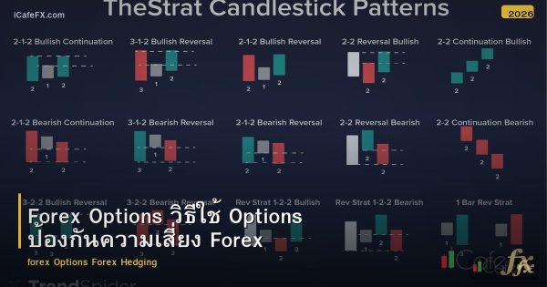 Forex Options วิธีใช้ Options ป้องกันความเสี่ยง Forex