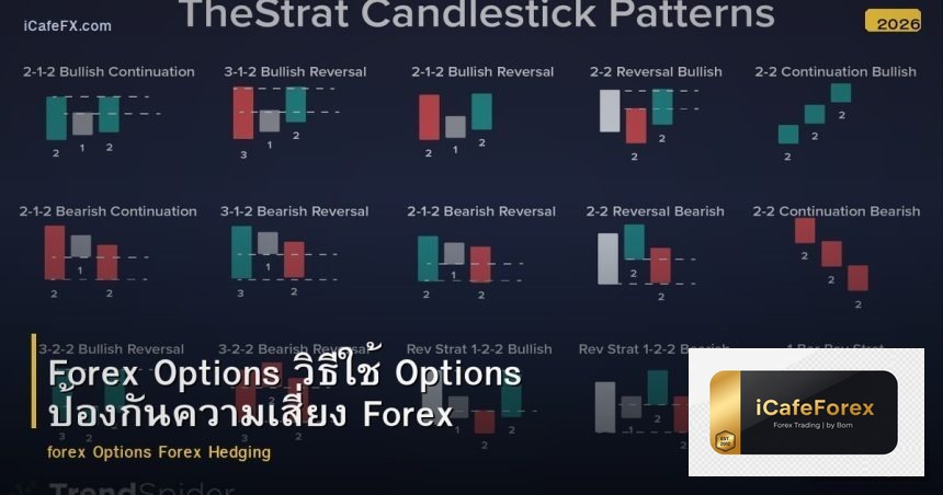 Forex Options วิธีใช้ Options ป้องกันความเสี่ยง Forex